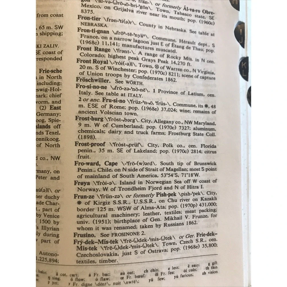 Websters New Geographical Dictionary A Merriam‎ Webster Vintage Book